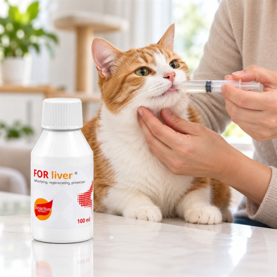 FOR Liver supliment lichid pentru câini cu afecțiuni hepatice, 50 ml – suport hepatic pentru detoxifiere, protecție și regenerare